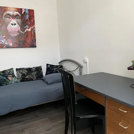 Maison De Charme Pres Des Volcans D'auvergne Avec Jardin, Terrasse, Cheminee, Ping-pong, Et Equipe. - Fr-1-742-557 Le Monteil (Cantal)