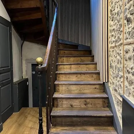 Maison De Charme Pres Des Volcans D'auvergne Avec Jardin, Terrasse, Cheminee, Ping-pong, Et Equipe. - Fr-1-742-557 *